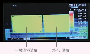 ガイナの温度適応能力実験写真01