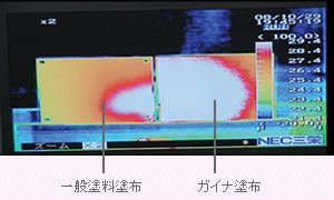 ガイナの温度適応能力実験写真02